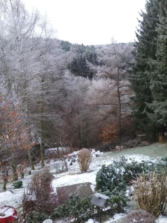Perlenbachtal Διαμέρισμα Μονσάου Εξωτερικό φωτογραφία