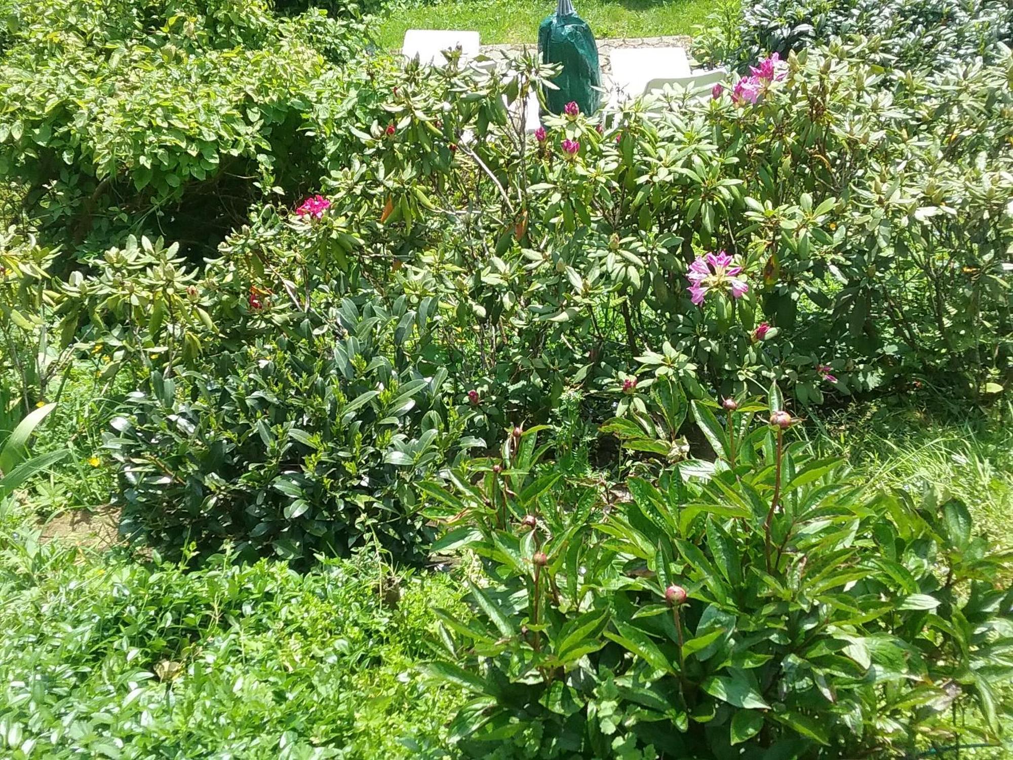 Perlenbachtal Διαμέρισμα Μονσάου Εξωτερικό φωτογραφία